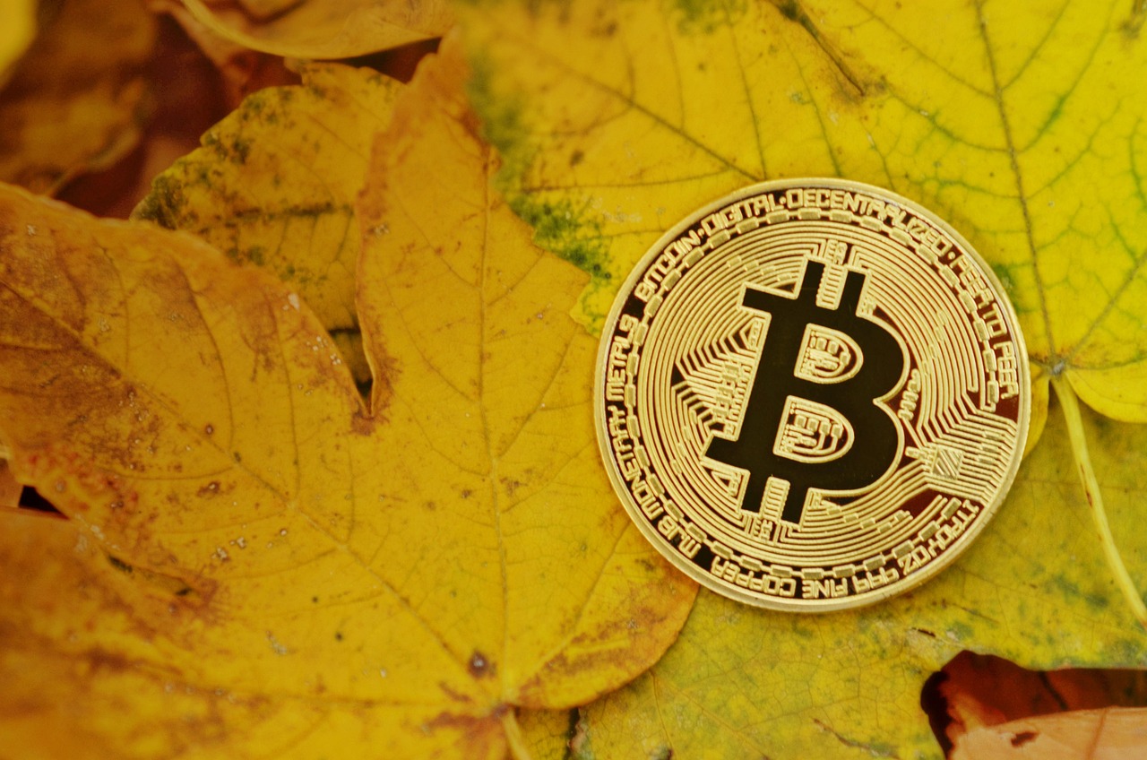 Meme币RFC逆势市值破一亿美元！KOL分享交易该币种的心路历程
